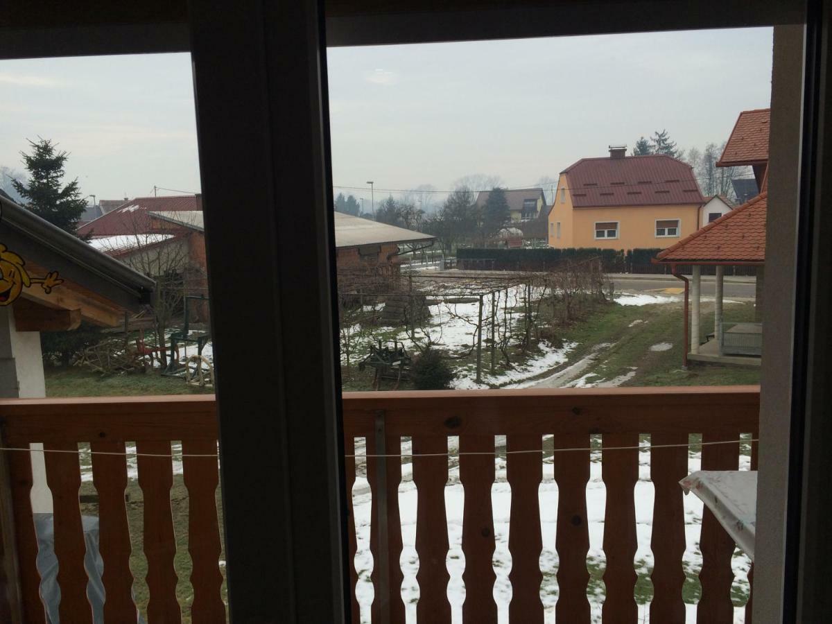 Tourist Farm Salamun Villa Banovci Rom bilde